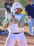 Photo from the gallery "Casteel @ Campo Verde"