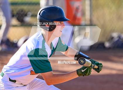 Thumbnail 2 in Casteel @ Campo Verde photogallery.