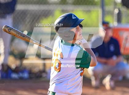 Thumbnail 3 in Casteel @ Campo Verde photogallery.