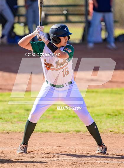 Thumbnail 3 in Casteel @ Campo Verde photogallery.