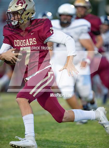 Thumbnail 3 in Palm Harbor University @ Countryside photogallery.