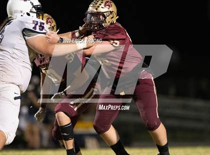 Thumbnail 1 in Palm Harbor University @ Countryside photogallery.