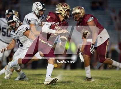 Thumbnail 1 in Palm Harbor University @ Countryside photogallery.