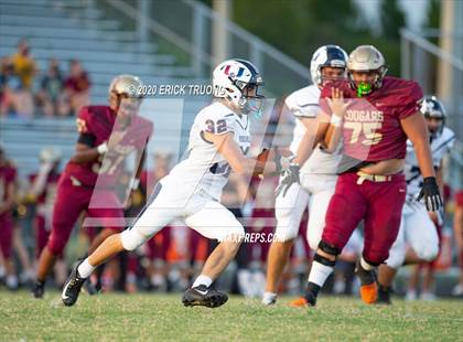 Thumbnail 1 in Palm Harbor University @ Countryside photogallery.