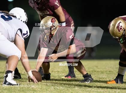 Thumbnail 2 in Palm Harbor University @ Countryside photogallery.