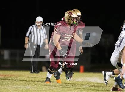 Thumbnail 2 in Palm Harbor University @ Countryside photogallery.
