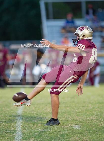 Thumbnail 1 in Palm Harbor University @ Countryside photogallery.