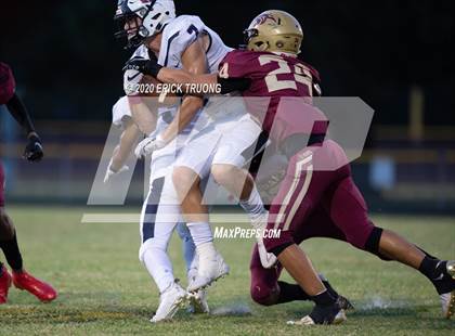 Thumbnail 1 in Palm Harbor University @ Countryside photogallery.