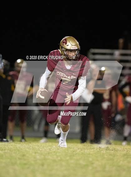 Thumbnail 2 in Palm Harbor University @ Countryside photogallery.
