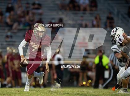 Thumbnail 2 in Palm Harbor University @ Countryside photogallery.