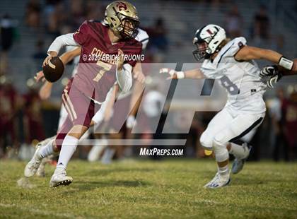 Thumbnail 2 in Palm Harbor University @ Countryside photogallery.