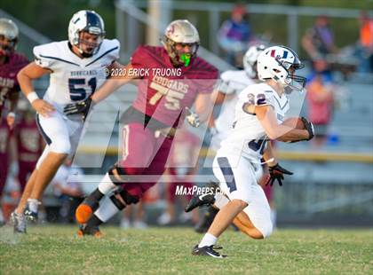 Thumbnail 1 in Palm Harbor University @ Countryside photogallery.