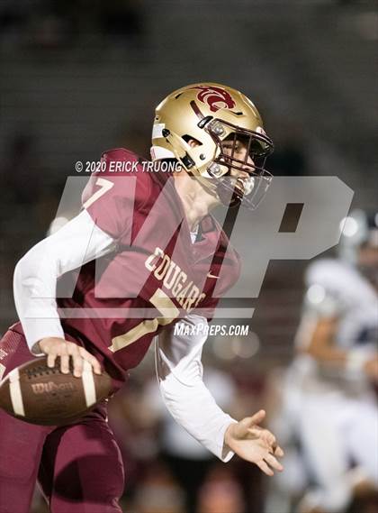 Thumbnail 2 in Palm Harbor University @ Countryside photogallery.