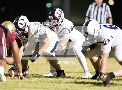 Thumbnail 3 in Palm Harbor University @ Countryside photogallery.