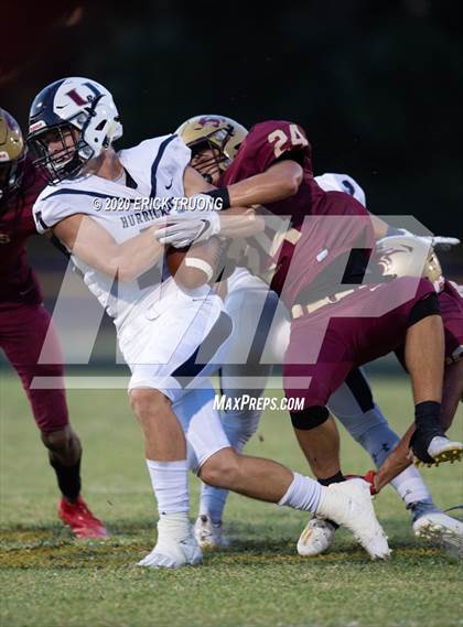 Thumbnail 2 in Palm Harbor University @ Countryside photogallery.