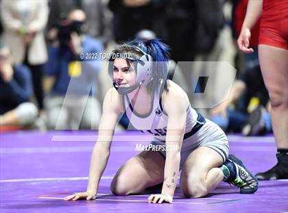 Thumbnail 1 in UIL State Championships - 6A 102lb Final photogallery.