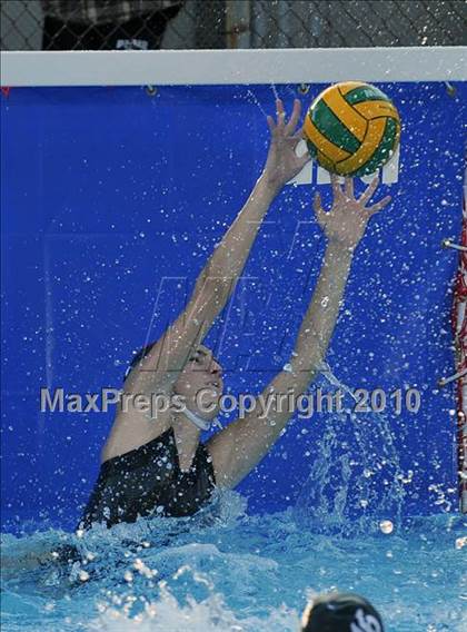Thumbnail 1 in Poly @ Westridge photogallery.