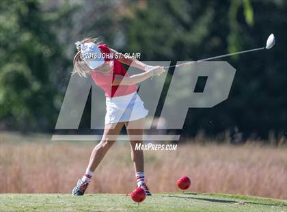 Thumbnail 1 in TSSAA I-AAA State Championships (Round Two)  photogallery.