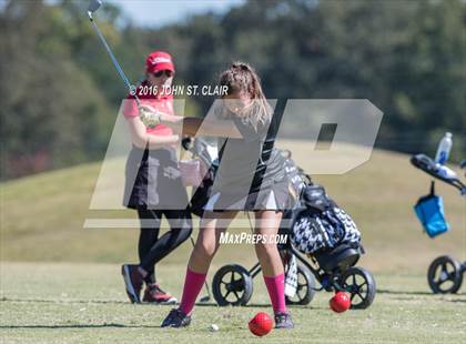 Thumbnail 1 in TSSAA I-AAA State Championships (Round Two)  photogallery.
