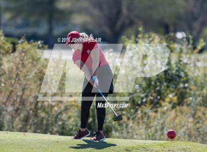 Thumbnail 3 in TSSAA I-AAA State Championships (Round Two)  photogallery.