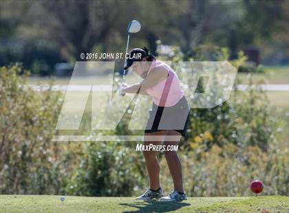 Thumbnail 1 in TSSAA I-AAA State Championships (Round Two)  photogallery.