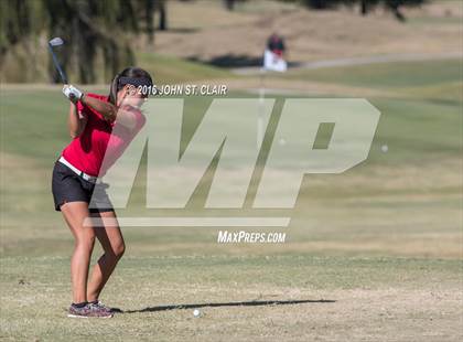 Thumbnail 2 in TSSAA I-AAA State Championships (Round Two)  photogallery.