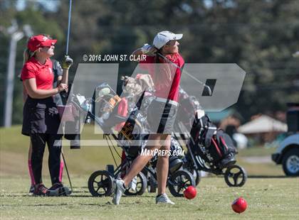 Thumbnail 3 in TSSAA I-AAA State Championships (Round Two)  photogallery.