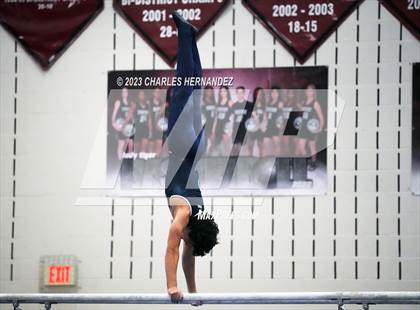 Thumbnail 1 in THSGCA State Meet (Parallel Bars-Optional) photogallery.