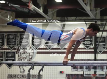 Thumbnail 3 in THSGCA State Meet (Parallel Bars-Optional) photogallery.