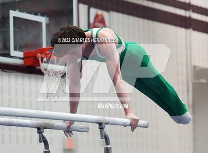 Thumbnail 2 in THSGCA State Meet (Parallel Bars-Optional) photogallery.
