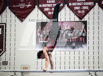 Thumbnail 3 in THSGCA State Meet (Parallel Bars-Optional) photogallery.