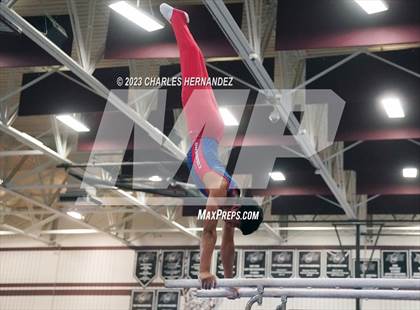 Thumbnail 2 in THSGCA State Meet (Parallel Bars-Optional) photogallery.