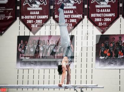 Thumbnail 1 in THSGCA State Meet (Parallel Bars-Optional) photogallery.