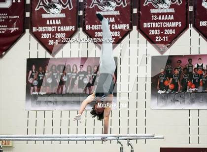 Thumbnail 2 in THSGCA State Meet (Parallel Bars-Optional) photogallery.