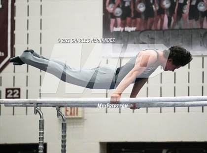 Thumbnail 1 in THSGCA State Meet (Parallel Bars-Optional) photogallery.