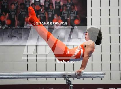 Thumbnail 2 in THSGCA State Meet (Parallel Bars-Optional) photogallery.