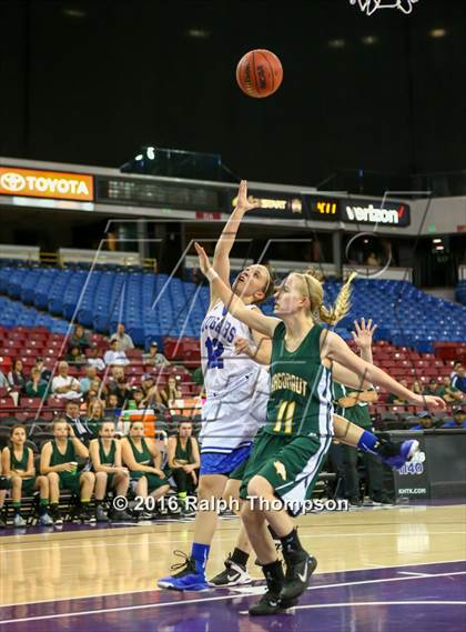 Thumbnail 2 in Capital Christian vs. Argonaut (CIF SJS D5 Final) photogallery.