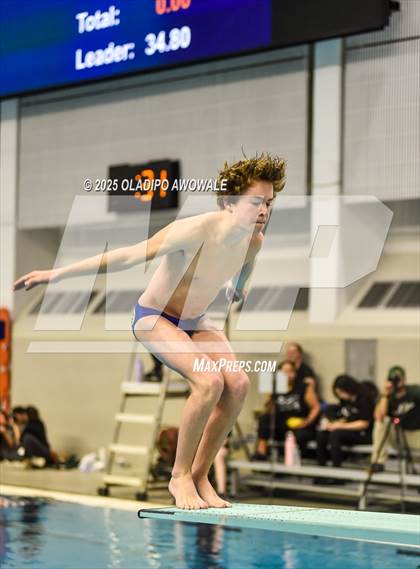 Thumbnail 3 in UIL 5A Swimming & Diving Finals photogallery.