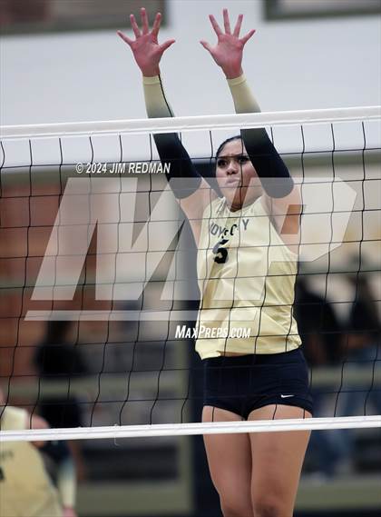 Thumbnail 3 in Tyler Legacy @ Royse City photogallery.