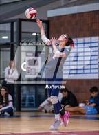 Photo from the gallery "Cape Fear Christian Academy @ Freedom Christian Academy"