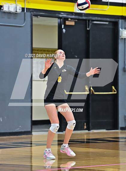 Thumbnail 1 in Longmont @ Green Mountain photogallery.