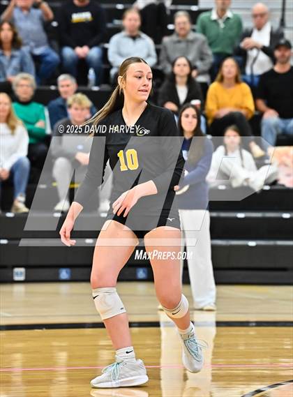 Thumbnail 1 in Longmont @ Green Mountain photogallery.