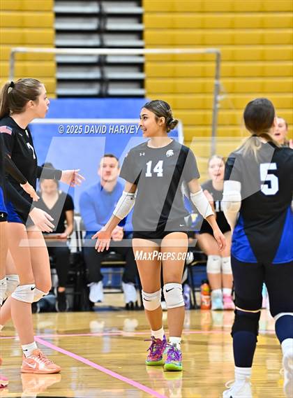 Thumbnail 3 in Longmont @ Green Mountain photogallery.