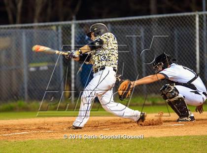 Thumbnail 3 in Croatan @ Havelock photogallery.