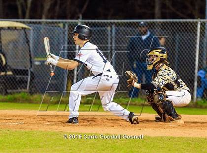 Thumbnail 2 in Croatan @ Havelock photogallery.