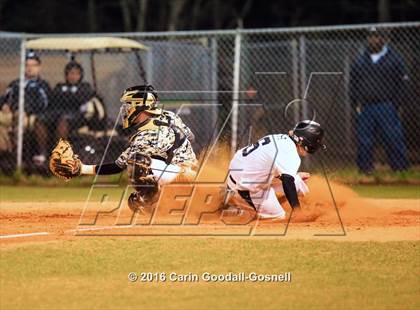 Thumbnail 3 in Croatan @ Havelock photogallery.
