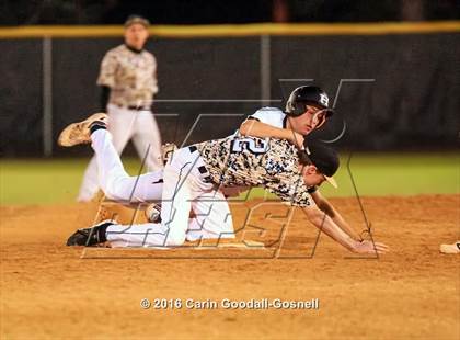 Thumbnail 2 in Croatan @ Havelock photogallery.