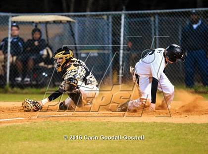 Thumbnail 1 in Croatan @ Havelock photogallery.