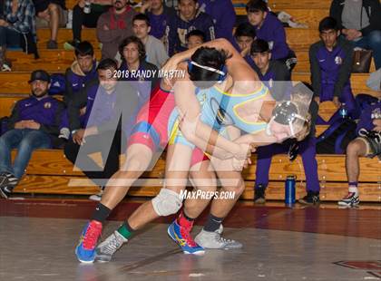Thumbnail 3 in El Capitan @ Beyer photogallery.