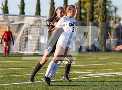 Thumbnail 1 in Canyon @ Foothill photogallery.